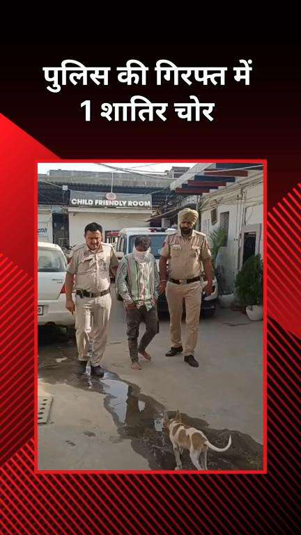 पंजाबी बाग: रनहोला पुलिस ने रेड कर शातिर चोर को किया गिरफ्तार, डिलीवरी ब्वॉय से चुराया था ग्रोसरी से भरा थ्री व्हीलर