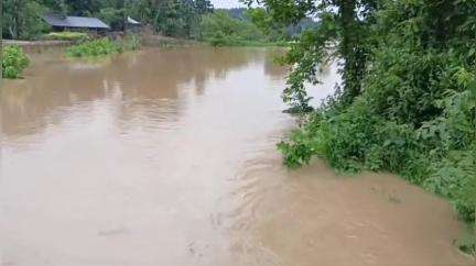 বিশালগড়: প্রবল বৃষ্টিতে জলমগ্ন চড়িলাম, জলে ভেসে গেল বড়ঢেপা এলাকার মৎস্য ব্যবসায়ীর তিনটি পুকুরের মাছ; ক্ষতিপূরণের দাবি