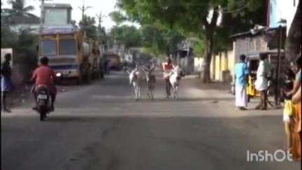 மதுரை தெற்கு: சிந்தாமணியில் சலவை தொழிலாளர்கள் சங்கத்தினரால் நடத்தப்பட்ட கழுதைகள் கலந்து கொண்ட ஓட்டப்பந்தயம்