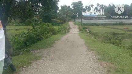 কোকৰাঝাৰ ভাগ: চৌটাকি গাঁৱত কালিপুখুৰী পথৰ দলঙৰ জৰাজীৰ্ণ ৰূপ, সমস্যাত সহস্ৰাধিক ৰাইজ #jansamasya