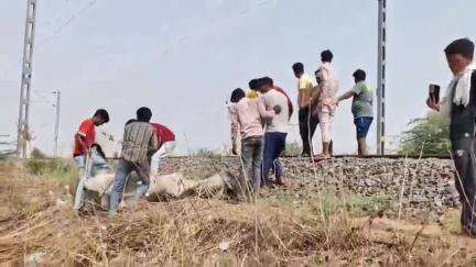 झूठा के समीप ट्रेन की चपेट में आने से नदी का पैर टूटा, उपचार हेतु ले जाया गया संस्कार गौ चिकित्सालय