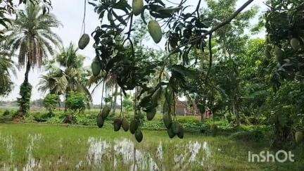 বাসন্তী: বাসন্তীতে দেওরের হাতে বৌদি খুনের ঘটনায় প্রতিক্রিয়া দিলেন হিন্দু জাগরণ মঞ্চের নেতা বিকর্ণ নস্কর