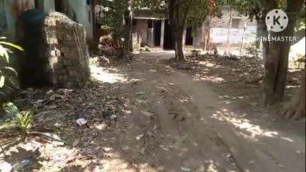 মথুরাপুর ১: পাটুনিঘাটা এলাকায় দীর্ঘদিন ধরে বেহাল রাস্তা সমস্যায় এলাকাবাসীরা#jansamasya