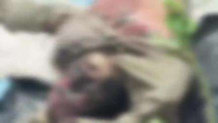 सहावर: नगला ननू के 45 वर्षीय व्यक्ति का शव नहर में मिला, मचा हड़कंप