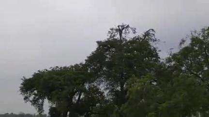 कोटा: ग्राम पंचायत रानी बछाली में पहुंची प्रवासी पक्षी, ग्रामीण पक्षियों की सुरक्षा पर देते हैं विशेष ध्यान
