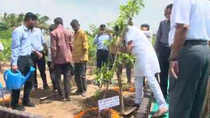 ડભોલી ખાતે જિલ્લા પંચાયતની પડતર જગ્યામાં "હરિત વનનું "વન પર્યાવરણ મંત્રીના હસ્તે લોકાર્પણ,22 હજાર વૃક્ષોનું વાવેતર