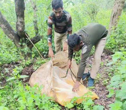 মানবাজার ১: মানবাজার থানার একাধিক জায়গায় চোলাই মদের বিরুদ্ধে অভিযান আবগারি দপ্তরের