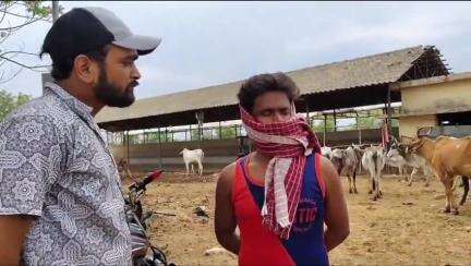 पन्ना: गौशाला में फिर घुसा तेंदुआ, चौथे बछड़े को बनाया शिकार, 15 दिन में 4 बच्चे गायब