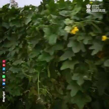 #विकसित_कृषि_संकल्प_अभियान 2025 | दिन 3 🌾