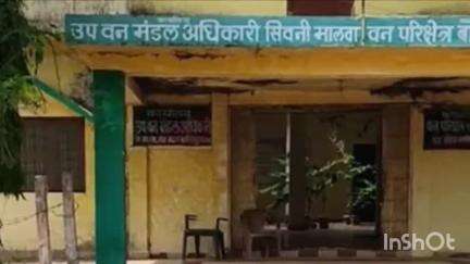 सिवनी मालवा: बघवाड़ा ग्राम में वन विभाग ने अवैध लकड़ी से भरी ट्रैक्टर-ट्राली ज़ब्त की, सीरस व जामुन की लकड़ियाँ मिलीं