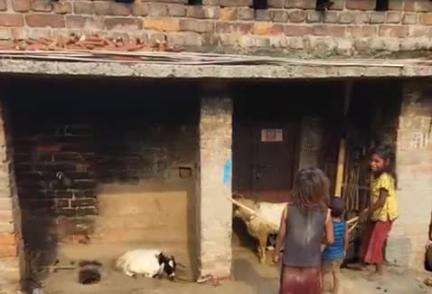 पूर्णिया पूर्व: टीकापट्टी गांव के दो पक्षों में हिंसक झड़प में एक बालक घायल, GMCH में चल रहा है इलाज