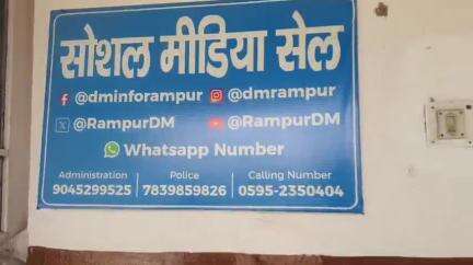 रामपुर: दलपुरा गांव के एक दंपति ने अपने भाई के खिलाफ जबरन पापुलर के पेड़ काटने की शिकायत डीएम के कार्यालय में की, DM से उम्मीद