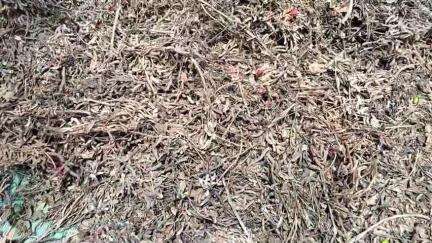 इगतपुरी: इगतपुरीत अवकाळी पावसाचा मान्सून पूर्व कहर; शेतकऱ्याचे लाखोंचे नुकसान, प्रशासनाचा थंड प्रतिसाद #jansamasya