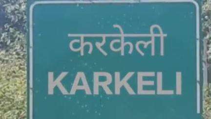 करकेली: करकेली में खेरदाई पुलिया के पास हिमांचल उर्फ दीपक महोबिया की दुर्घटना में मृत्यु, कार चालक पर मामला दर्ज