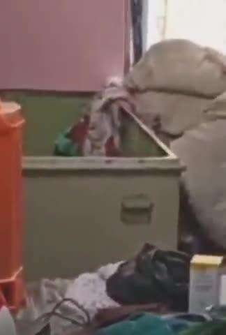 फतेेहपुर: शैली किरतपुर गांव में चोरी की बड़ी वारदात, 3 दिन बाद भी पुलिस के हाथ खाली, स्थानीय लोगों के मिले होने की आशंका