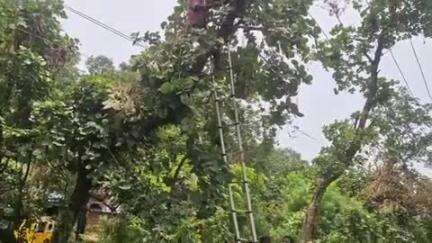 सारठ: मेंटेनेंस कार्य के चलते सारठ क्षेत्र में घंटों बिजली बाधित, गर्मी से लोग परेशान, AE के निर्देश पर हो रहा काम
