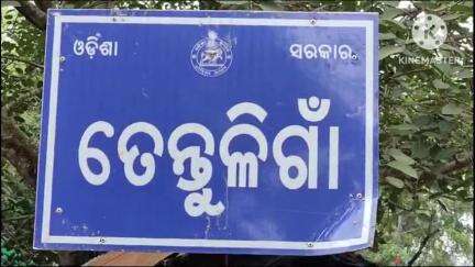 ବଡସାହି: ତେନ୍ତୁଳି ଗାଁ ଗ୍ରାମରେ ଚଢାଉକରି ଚୋରା ଦେଶିମଦ ଜବତ ଘଟଣାରେ ମାମଲା ରୁଜୁକରି ଜଣକୁ ଗିରଫ କଲା ବଡସାହି ପୁଲିସ