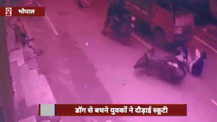 भोपाल: डॉग से बचने के लिए युवकों ने दौड़ाई स्कूटी, फिर हुआ ऐसा कि रूह कांप उठेगी