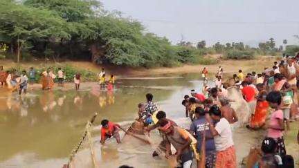 சிங்கம்புனரி: வேங்கைப்படியில் விவசாயம் செழிக்க நடைபெற்ற மீன்பிடி திருவிழா