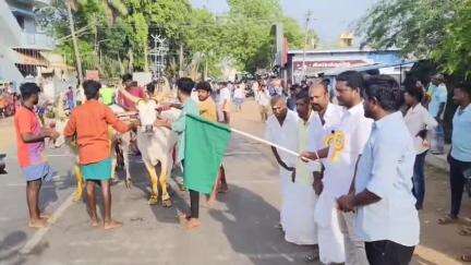 திருப்பத்தூர்: காரைக்குடி சாலையில் கோயில் புரவி எடுப்பு விழாவை முன்னிட்டு நடைபெற்ற இரட்டை மாட்டு வண்டி எல்கை பந்தயம்