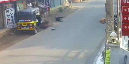 കൊല്ലം: അഞ്ചാലുംമൂട് ലേക്ക് പാലസ് ഹോട്ടലിന് സമീപം അമിത വേഗതയിലെത്തിയ ബൈക്കിടിച്ച് ഒരാൾ മരിച്ചു, അഞ്ചു പേർക്ക് പരിക്ക്