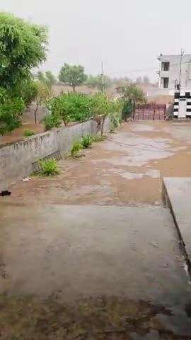 NAGOUR RAJASTHAN  UPDATE  TODAY