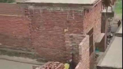 आंवला: आंवला में परिवार से मारपीट, पीड़ित ने एसडीएम से लगाई गुहार, पुलिस पर भी लगाए आरोप