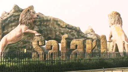 इटावा: इटावा सफारी पार्क एशियाई शेरों के साथ लेपर्ड संरक्षण का बड़ा केंद्र बना, विश्व लेपर्ड डे पर सफारी प्रशासन ने दी जानकारी