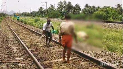 പാലക്കാട്: മലമ്പുഴയിൽ ട്രെയിനിടിച്ച് ഒമ്പത് പശുക്കൾ ചത്തു, ഉടമക്കെതിരെ കേസെടുക്കുമെന്ന് അധികൃതർ