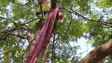 গাজোল: রসিক পুর এলাকায় পারিবারিক বিবাদের জেরে ১ গৃহস্থ গলায় ফাঁস দিয়ে আত্মঘাতী হয়েছেন
