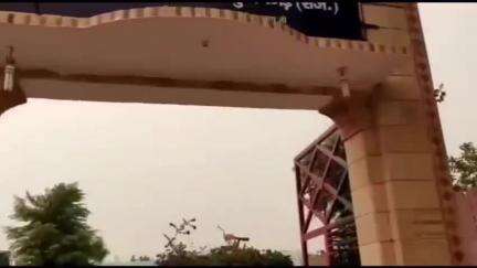 भादरा: गांव नथवानिया में घर में रखे संदूक से सोने के जेवरात गायब