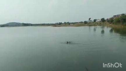 சோளிங்கர்: வெடலவாடி ஏரியில் பெண் சடலம் - போலீசார் தீவிர விசாரணை