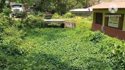 ডায়মন্ডহারবার ২: সরিষা আশ্রম মোড় থেকে ২৪৬মোর পর্যন্ত খালের বেহাল অবস্থা সমস্যার সম্মুখীন সাধারণ মানুষ #janasamasa