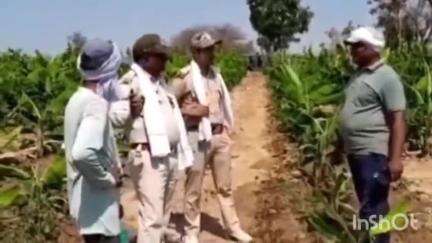 नेपानगर: अंधारवाड़ी में तेंदुए की सक्रियता बढ़ी, शावकों के भी मिले निशान, वन विभाग ने किसानों को अकेले खेत न जाने की चेतावनी दी