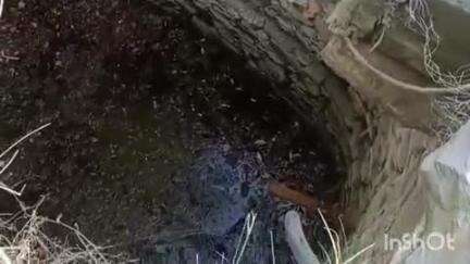 मावली: घासा क्षेत्र के विजनवास गांव में चोरों ने कुएं से चुराया वाटर पंप, थाने में दर्ज करवाया चोरी का मामला