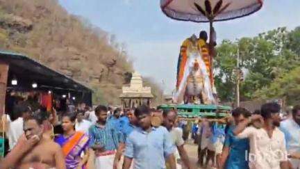 ఎగువ అహోబిలం హంస వాహనంపై ఊరేగిన నరసింహుడు