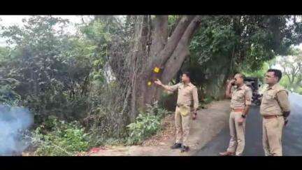 प्रतापगढ़: मनैतापुर गांव के पास संदिग्ध परिस्थितियों में लगी आग, सैकड़ों पेड़ जलकर हुए राख