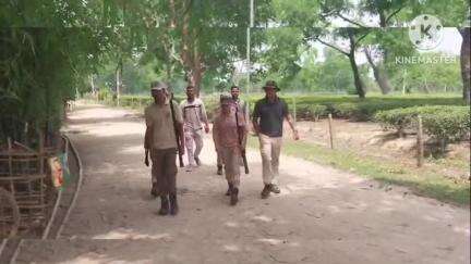 মৰিয়নি: ডকলঙীয়া চাহ বাগিচাত বাঘৰ আতংক , বাঘৰ আক্ৰমণত আহত এজন