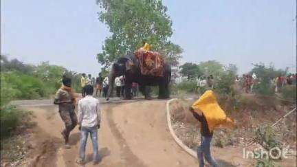 पीरो: बगसंडा में भद्रकाली प्राणप्रतिष्ठात्मक महायज्ञ के लिए निकाली गई भव्य जलभरी यात्रा