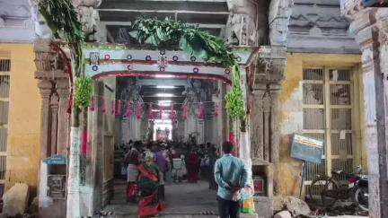 திருச்செந்தூர்: உலக நன்மைக்காக சுப்பிரமணிய சுவாமி கோவிலுக்கு பால்குடம், காவடி அலகு குத்தி, சூரிய காவடி எடுத்து நேர்த்திக்கடன் செலுத்திய பக்தர்கள்