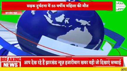 सड़क दुर्घटना में 55 वर्षीय महिला की मौत