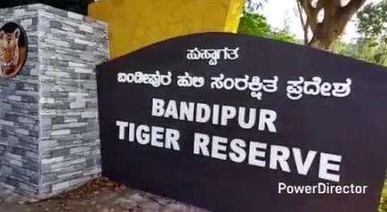 ಗುಂಡ್ಲುಪೇಟೆ: ಹಿರಿಕೆರೆ ಅರಣ್ಯ ಪ್ರದೇಶದಲ್ಲಿ ಗಸ್ತು ತಿರುಗುವಾಗ ಗಂಡಾನೆ ಕಳೇಬರ ಪತ್ತೆ