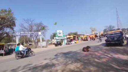 चिखली: समृद्धी महामार्गावर भीषण दरोडा, मेहकर भोईसर कडे जाणाऱ्या डॉक्टर दांपत्याला लुटले