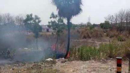 मऊ: गायघाट इलाके में सड़क के किनारे लगे पेड़ों में लगी आग, मचा हड़कंप, फायर विभाग ने आग पर पाया काबू