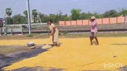 విజయనగరం: మొక్కజొన్న పంటకు  గిట్టుబాటు ధర లేక  నష్టపోతున్నామని గున్నతోటవలసలో  ఆవేదన వ్యక్తం చేసిన మహిళా రైతు#localissue