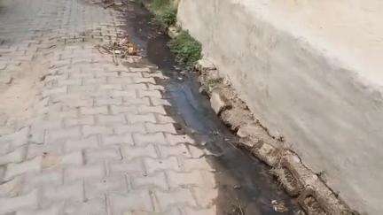 तिलहर: दो गांव में एक सफाई कर्मचारी की ड्यूटी होने पर हाजीपुर गांव में कई जगह पर फैली गंदगी, सफाई कराए जाने की मांग
#jansamasya