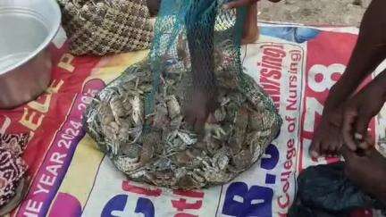 தண்டையார்பேட்டை: காசிமேடு மீன்பிடி துறைமுகத்தில் மீன்பிடி தடைக்காலம் அமலில் உள்ளதால் சிறிய படகுகளில் மீன் வரத்து குறைவாக உள்ளதால் மீன்கள் அதிக விலைக்கு விற்பனை