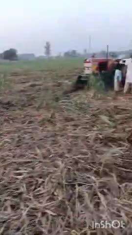 खतौली: मंसूरपुर क्षेत्र के गांव पुरबालियान के जंगल में चकबंदी कब्जा परिवर्तन को लेकर दो पक्षों के बीच मारपीट, वीडियो हुआ वायरल