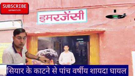 पूरनपुर ग्राम केसरपुर मे खेल रही 5वर्षीय शायदा को सियार ने काटा। सीएचसी मे दाखिल। नाजुक हालत मे पीलीभीत रिफ़र।