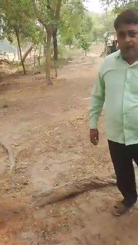 ग्राम पूरे तिवारी पोस्ट उन्डवा थाना जगतपुर तहसील ऊंचाहार जिला रायबरेली 
बिना परमिशन के शीशम का पेड़ काटा जा रहा